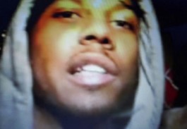 LEE HARRISON CREATIVE