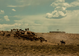 LEE HARRISON CREATIVE