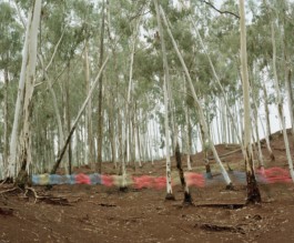 LEE HARRISON CREATIVE