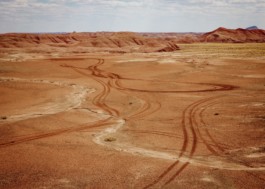 LEE HARRISON CREATIVE