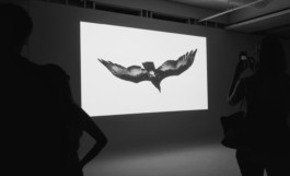 LEE HARRISON CREATIVE