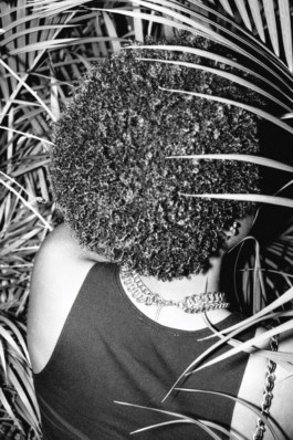 LEE HARRISON CREATIVE