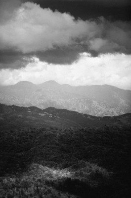 LEE HARRISON CREATIVE