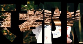 LEE HARRISON CREATIVE